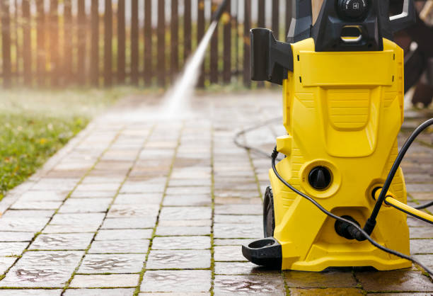 Animal Enclosure Cleaning in Powell, AL